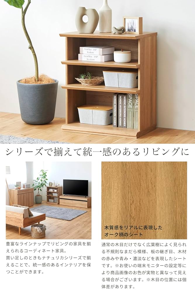 インテリア　ラック 71ie+gKmGPL._UF894,1000_QL80_.jpg